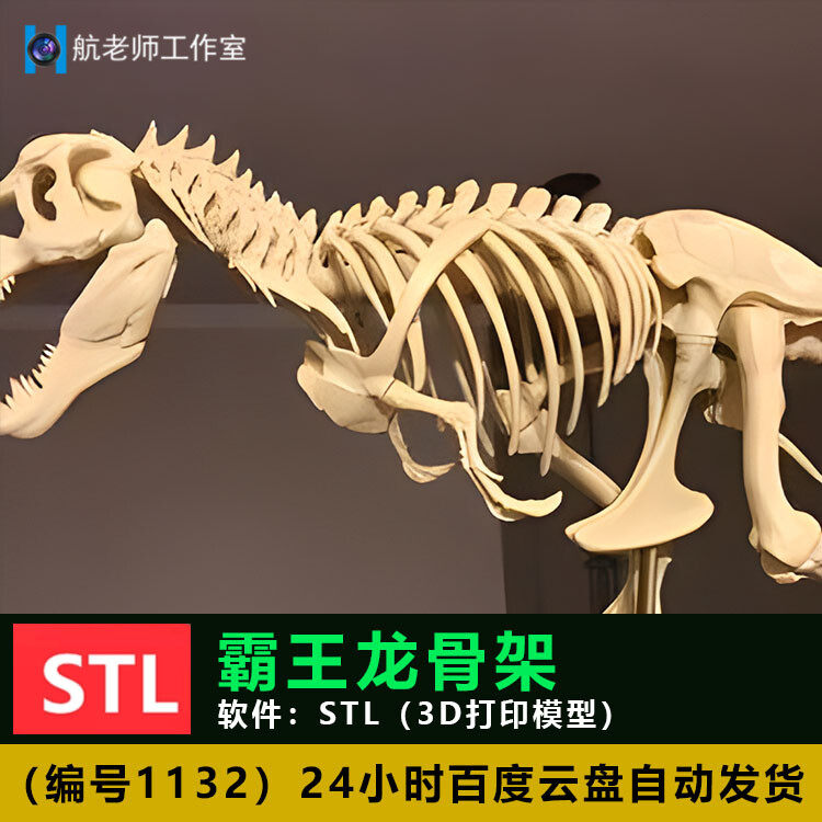 恐龙霸王龙骨架骨骼身体构造 3d打印模型手办模型stl数据文件