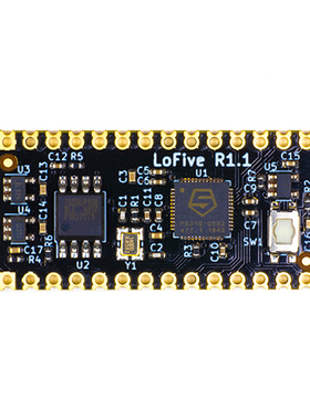 LOFIVE-R1【SIFIVE FE310-G002 RISC-V DEV 】