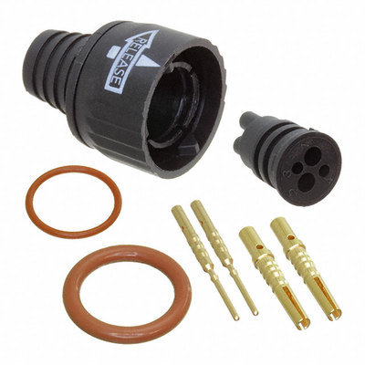 300028 |  3000403 |  3000434