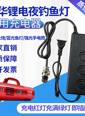 大华顶点E30016.8V/12.6V8A10A氙气灯锂电充电器GX20大号航空二芯
