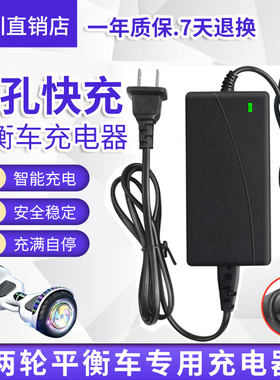 电动平衡车充电器三孔头通用