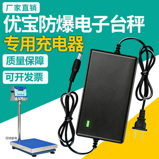 优宝防爆台秤充电器12V2000MA蓄电池EX-E0833按键前面皮电源