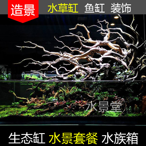 沉木造景套餐超白玻璃创意鱼缸金鱼缸小鱼缸造景生鱼缸疯