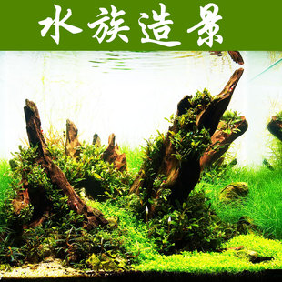 饰造晍 沉木造景套餐物塑料假花水族箱造景摆件布景鱼缸装