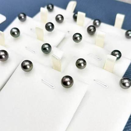 18K 大溪地7-8MM海水珍珠耳钉