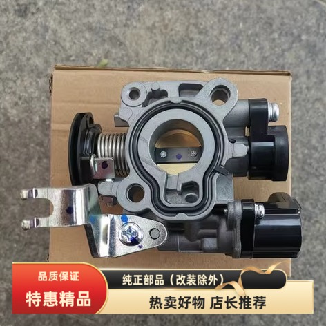 轻骑铃木QS110T-2/3/5节气门原厂