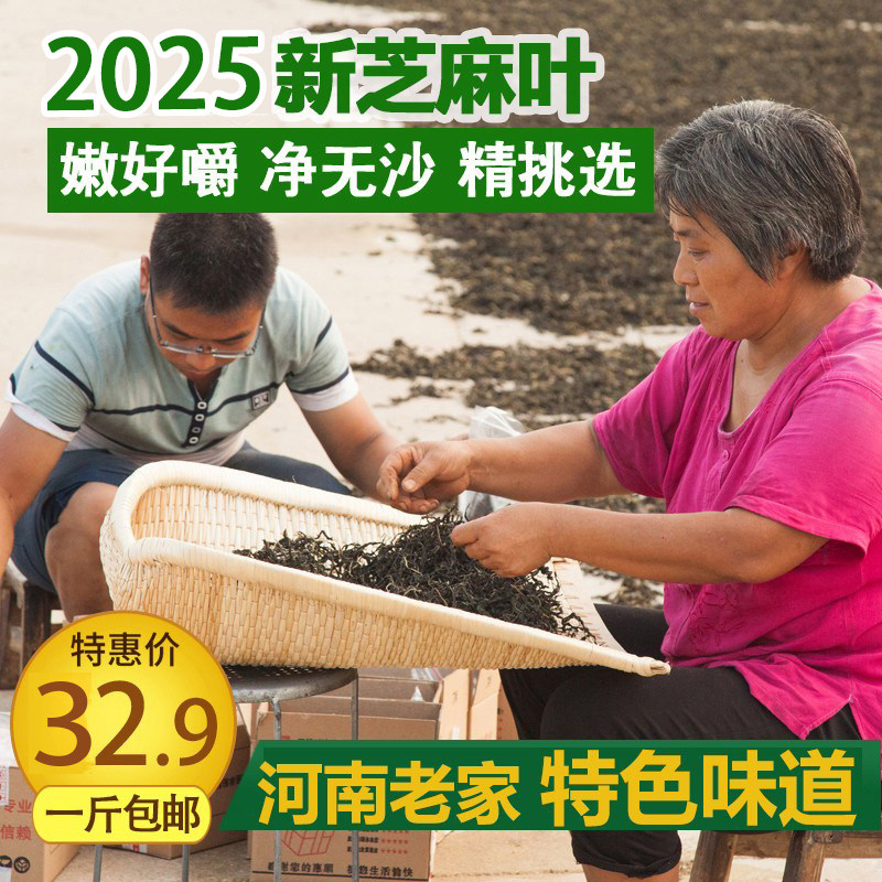 2025年新鲜晒干芝麻叶河南土特产干菜精选农家自制脱水干菜一斤装