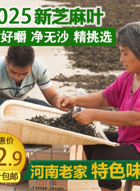 2025年新鲜晒干芝麻叶河南土特产干菜精选农家自制脱水干菜一斤装