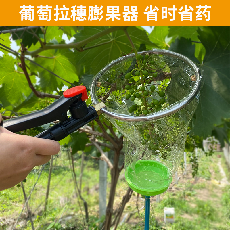 葡萄电动膨大神器膨果器沾药器拉穗铜雾化环形喷头回流催红浸果器 农机/农具/农膜 葡萄膨果拉穗器 原图主图