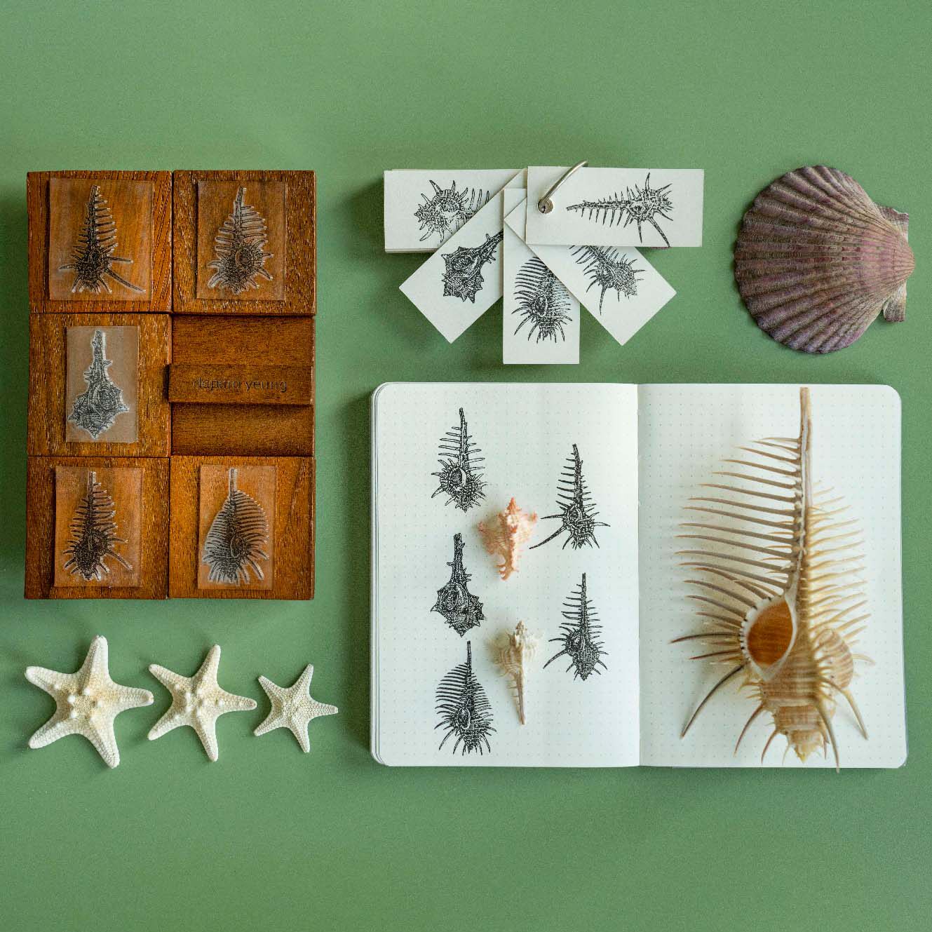 daparo yeung骨螺木头印章手账橡皮硅胶日记海螺手绘图案新年礼物