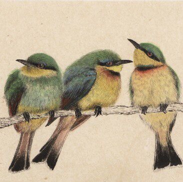 原创  国画原创艺术版画装饰画鸟蜂虎鸟 《夏日》交响曲 家居挂画