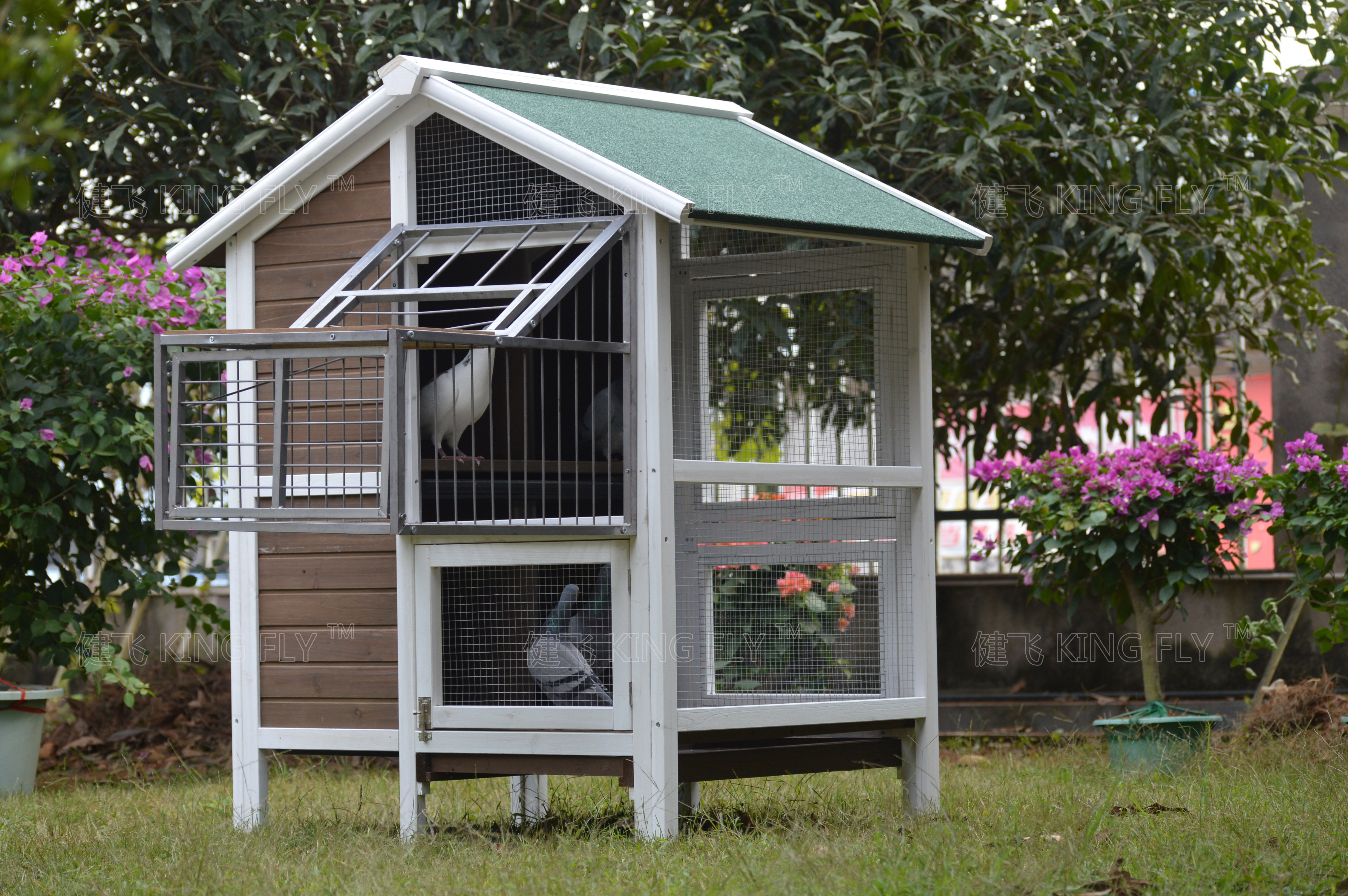 健飞 户外实木质鸽舍鸽子笼木制鸽笼子赛鸽笼信鸽棚鸽房巢箱230