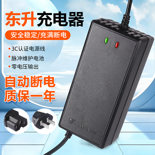 包邮48v12ah60V20Ah72v96V东升自动断电电动车充电器铅酸电池通用