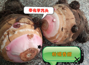 10月份 上市正宗新鲜奉化溪口芋头香芋芋艿头非荔浦芋头浙江沪5斤