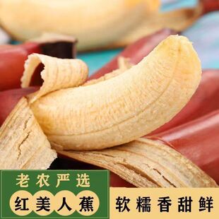 正宗新鲜红美人香蕉banana当季孕妇水果整5斤自然熟红蕉香蕉海南