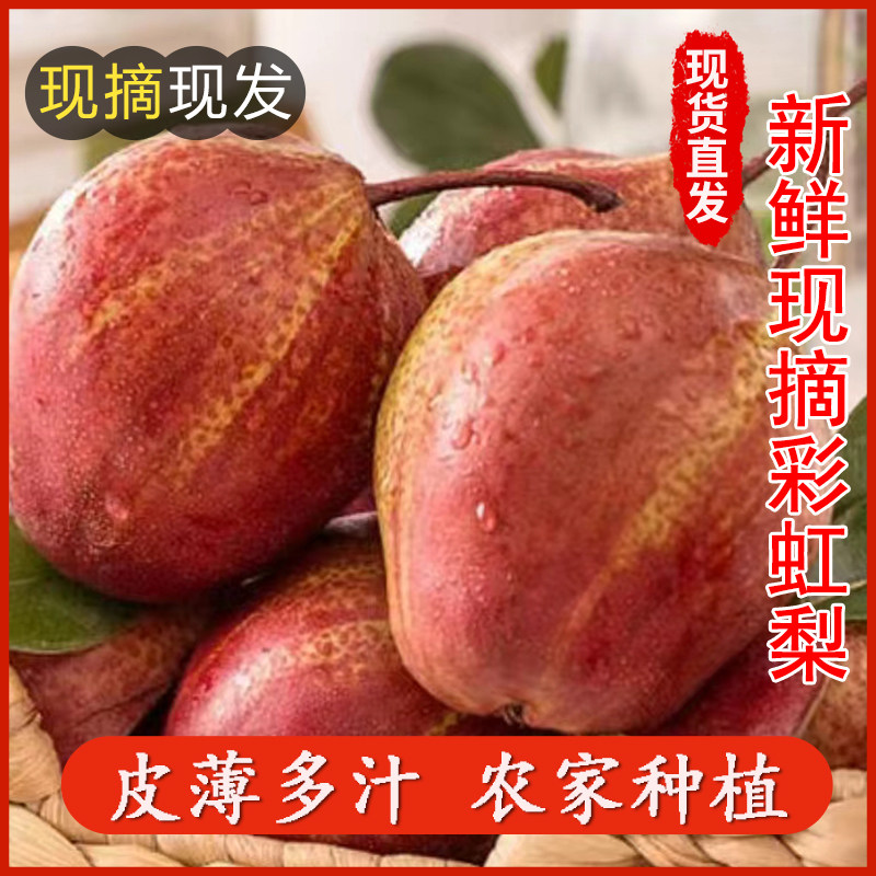 顺丰正宗新疆彩虹梨子新鲜应季水果直批包邮香梨现摘当季早酥梨蜜