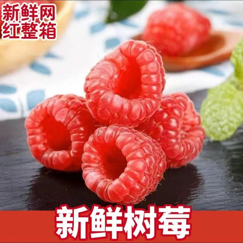 顺丰现摘新鲜红树莓覆盆子125g/盒当季稀有美味水果天然现摘树莓