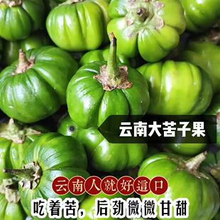 云南德宏特色野味傣味苦子果 苦味香浓 野生野菜酸汤苦子一斤