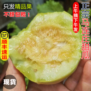 正宗山东青岛马连庄甜瓜5斤新鲜香瓜莱西甜宝小蜜瓜当季水果顺丰