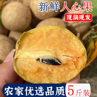 广西人心果新鲜现摘特大果当季孕妇热带稀罕见水果整箱5斤人参果