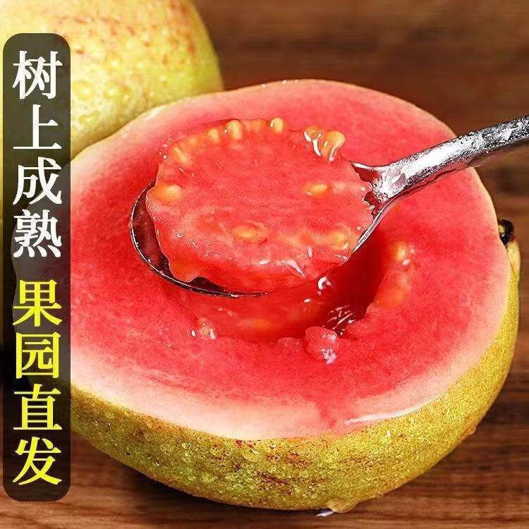 红心草莓芭乐大果白肉奶油软糯甜巴番石榴现摘新鲜水果孕妇鸡屎果