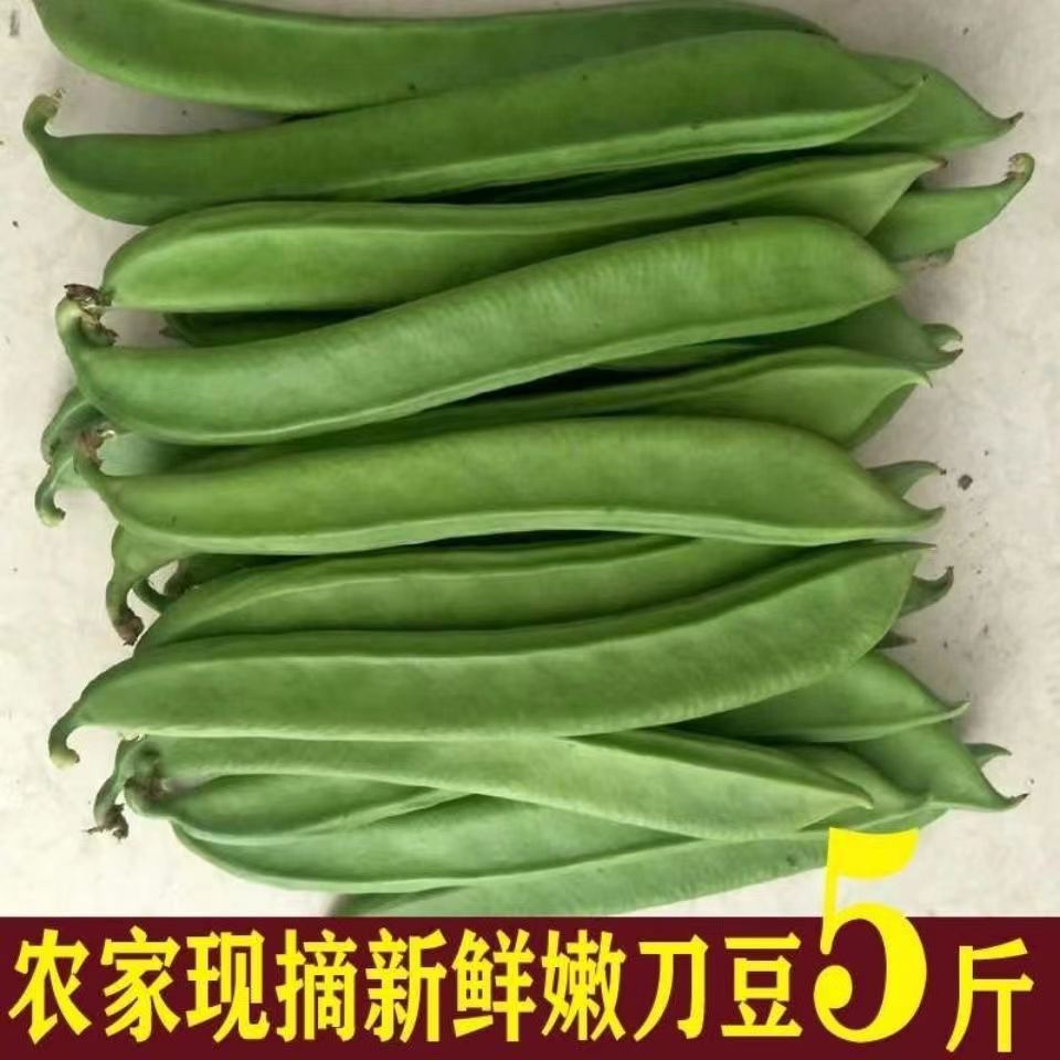 刀豆新鲜5斤包邮广西农家自种 时令蔬菜刀豆剁椒原料 刀把豆包邮
