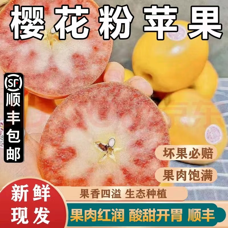 【顺丰】法国樱花粉苹果红肉kissable当季新鲜水果12颗礼盒装酸甜,水产肉类/新鲜蔬果/熟食,苹果,淘宝优惠券,粉丝福利购,淘宝优惠卷
