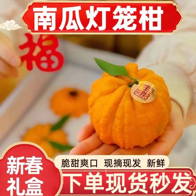 四川眉山南瓜柑橘灯笼柑发财柑橘当季新鲜孕妇水果沙糖桔子礼盒,水产肉类/新鲜蔬果/熟食,桔子,淘宝优惠券,粉丝福利购,淘宝优惠卷