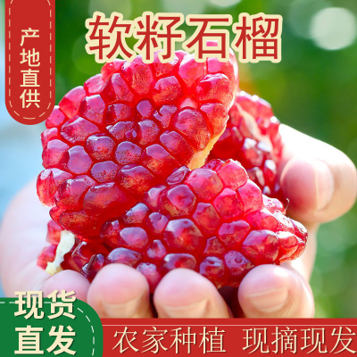 红宝石10斤四川攀枝花现货包邮