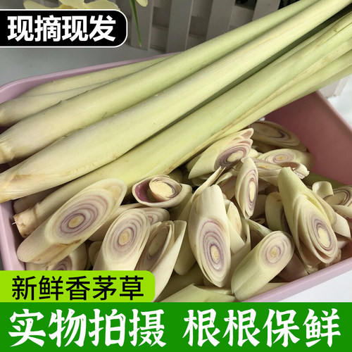 香茅草新鲜柠檬草叶香茅香料