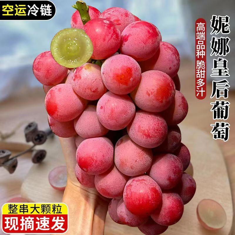 顺丰正宗妮娜皇后葡萄无籽罗马红宝石红提新鲜提子女皇尼娜公主