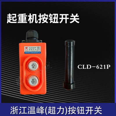 浙江温峰超力CLD按钮开关起重机