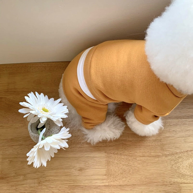 比心宠物衣服2023秋冬装比熊小型犬博美泰迪四脚衣贵宾狗狗运动服