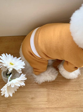 比心宠物衣服2023秋冬装比熊小型犬博美泰迪四脚衣贵宾狗狗运动服