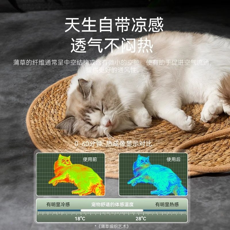 夏季蒲草垫子四季通圆形藤编猫抓板猫抓垫不掉屑猫窝宠物猫咪凉席,宠物/宠物食品及用品,猫笼子/猫别墅,淘宝优惠券,粉丝福利购,淘宝优惠卷