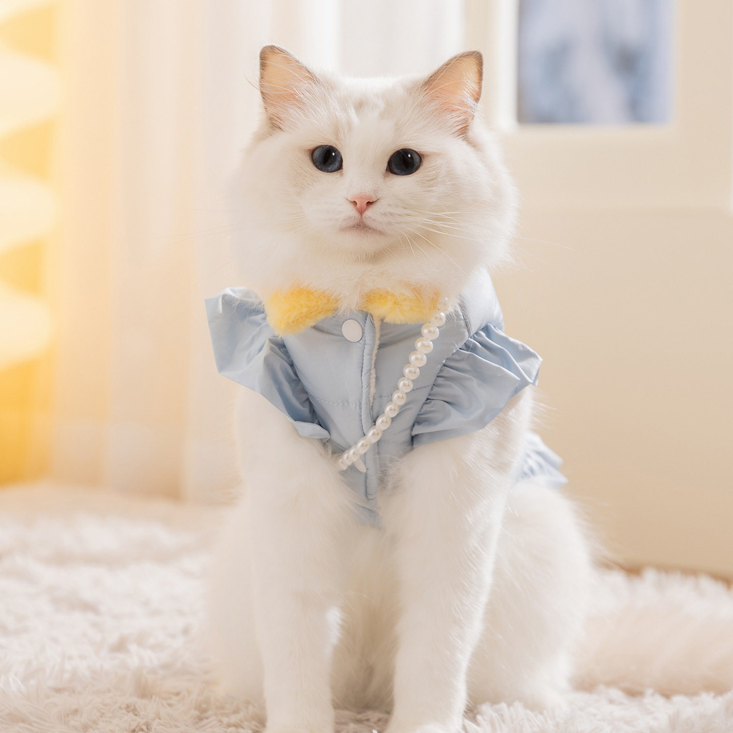 猫咪衣服秋冬季公主风珍珠挎包牵引马甲两脚棉衣中小型犬宠物衣服,宠物/宠物食品及用品,狗宠物服装/雨衣,淘宝优惠券,粉丝福利购,淘宝优惠卷