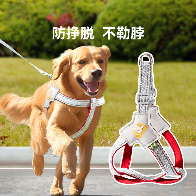 宠物胸背带遛狗绳中小型柴犬柯基比熊泰迪狗链子背心式狗狗牵引绳