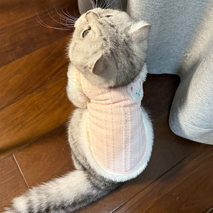 猫衣服秋冬季马甲幼猫无毛猫两脚衣立体小熊蛇仔贴布狗狗宠物衣服