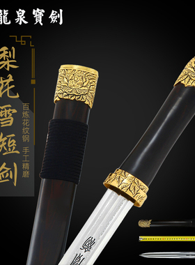 龙泉宝剑梨花雪短剑唐剑刀具 防身 花纹钢短刀剑收藏未开刃旗舰店