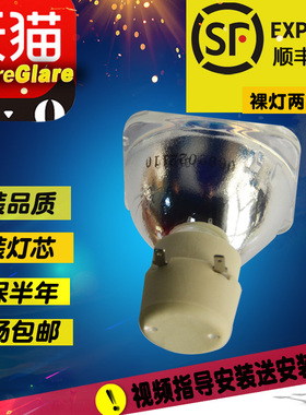 宝得丽适用于NEC NP100+投影机灯泡&投影仪灯泡 NP10LP全新投影灯