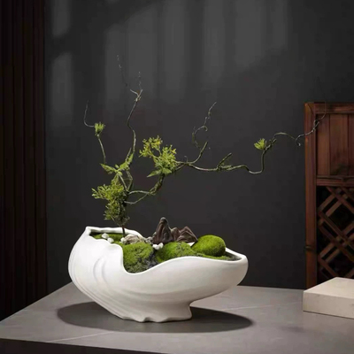 新中式陶瓷花盆蝴蝶兰蕙兰异形