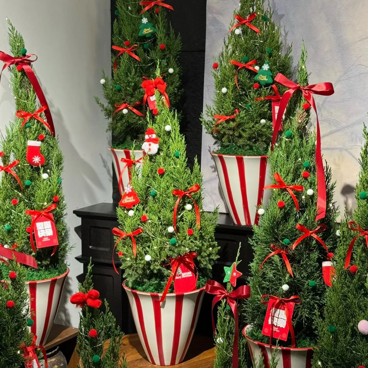 圣诞节创意大惠兰花盆装饰大口径小圣诞树花器摆件橱窗氛围布置