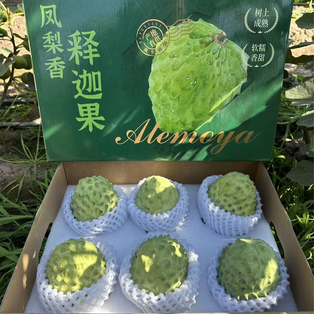 【释迦礼盒】新鲜凤梨牛奶释迦果番荔枝孕妇水果儿童辅食顺丰