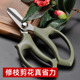 花枝剪刀不锈钢插花卉修枝园艺盆栽绿化园林摘果树家用强省力剪子