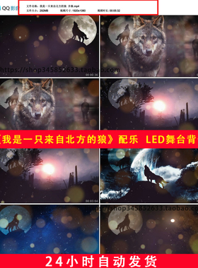 我是一只来自北方的狼齐秦杀破狼群独狼雪狼悲伤LED舞台背景B687