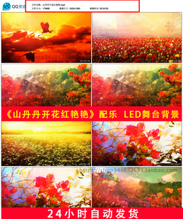山丹丹开花红艳艳配乐山歌民歌映山红革命歌曲LED舞台背景视频637