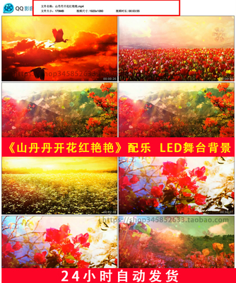 山丹丹开花红艳艳配乐山歌民歌映山红革命歌曲LED舞台背景视频637