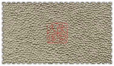 SSMP218