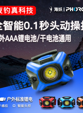 phorcys海妖aaa7号夜钓鱼锂电池