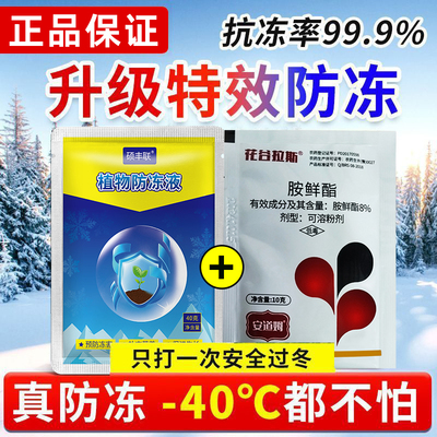 胺鲜酯植物防冻液组合抗低温套餐